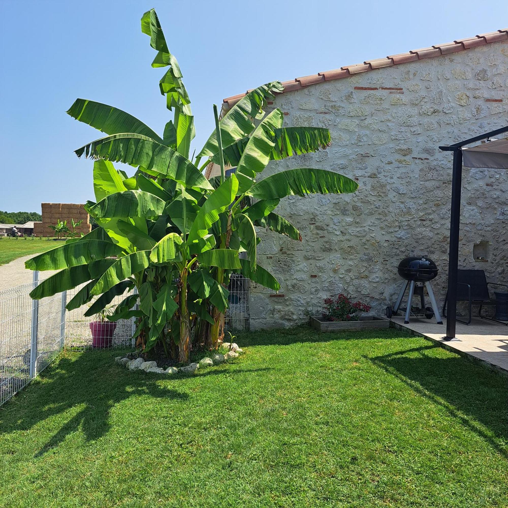 Le Domaine Vesque Villa Saint-Pierre-de-Clairac Exterior photo